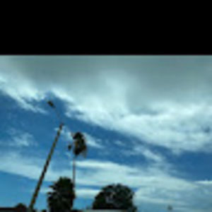 Meet your Posher, Iris